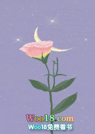 月亮與玫瑰小说封面